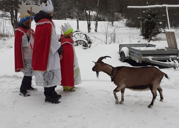 Tříkrálová sbírka 2026 v terénu